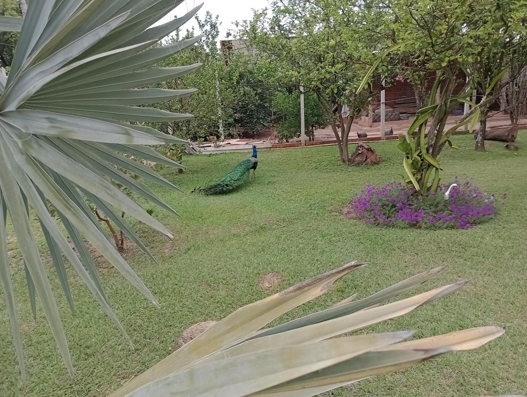 Pousada Chácara VIVALLI Holambra Exterior foto