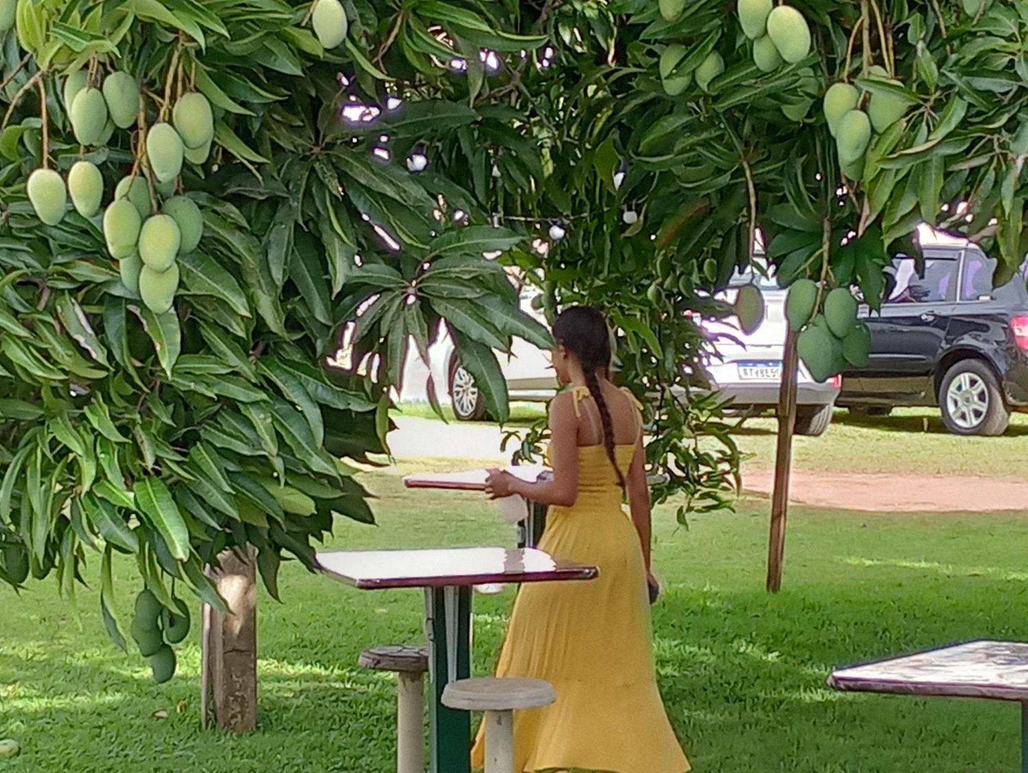 Pousada Chácara VIVALLI Holambra Exterior foto