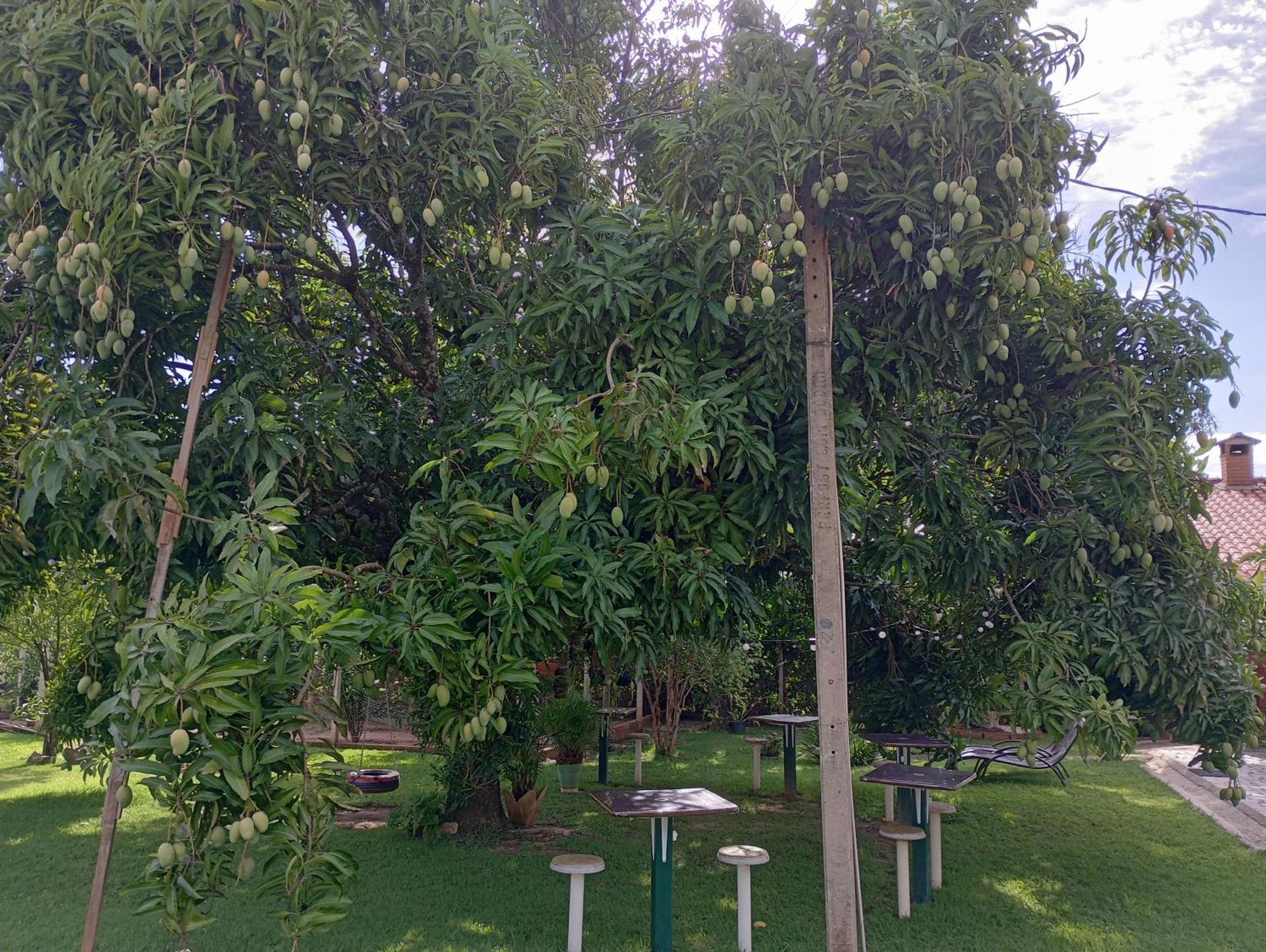 Pousada Chácara VIVALLI Holambra Exterior foto