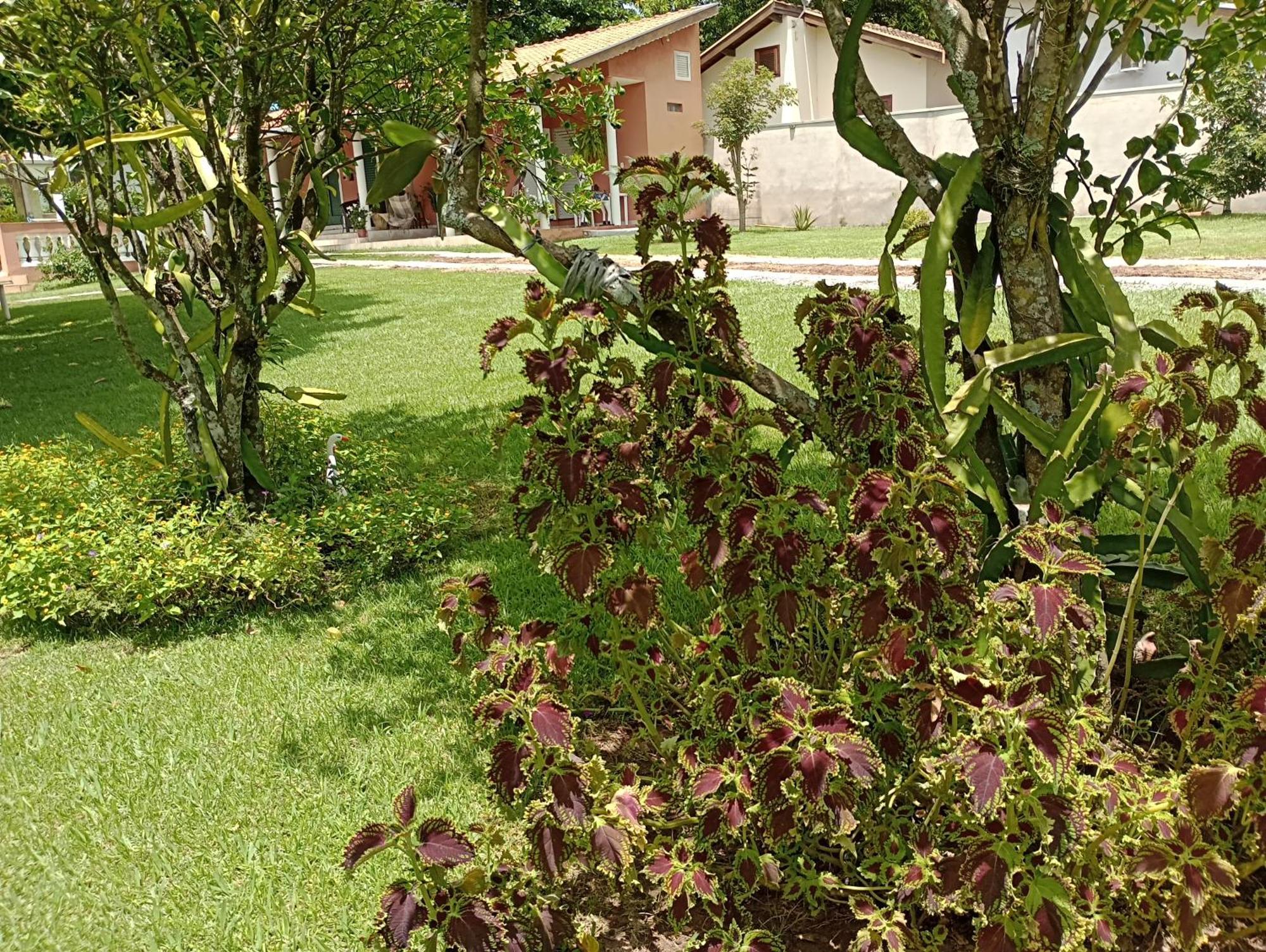 Pousada Chácara VIVALLI Holambra Exterior foto